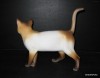 Porcelánová soška - Kočka 24502 pastel