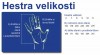 Lyžařské rukavice Hestra Philippe Raoux Ecocuir Short